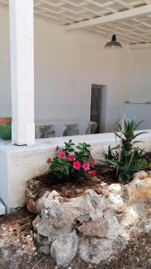 un plantador de piedra con flores rosas en un patio en Cofano Home, en Custonaci