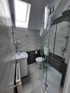 a bathroom with a shower and a toilet and a sink at Casa de oaspeti Maximilian in Codlea