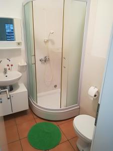 a bathroom with a shower and a toilet and a sink at Villa Maslina in Zadar +80 photos