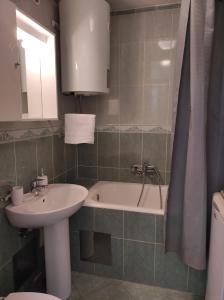 Vonios kambarys apgyvendinimo įstaigoje Sunny apartment in Rijeka