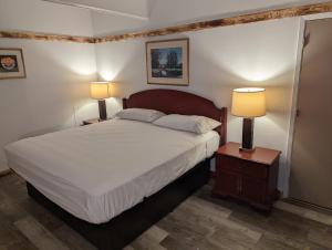 sypialnia z łóżkiem i 2 lampkami na stołach w obiekcie Wyatt Earp Hotel w mieście Dodge City