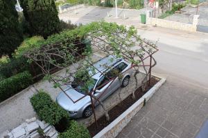 Een tuin van Pineta House Vidos