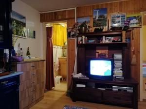 TV a/nebo společenská místnost v ubytování SUNSHINE house