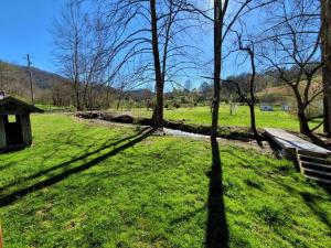 Paradise in the Great Smoky Mountains