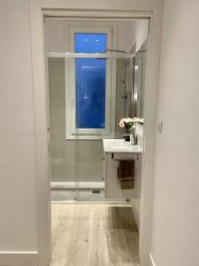 a bathroom with a shower and a sink and a window at Bilbao Azkuna Home Centro EBI01832 in Bilbao