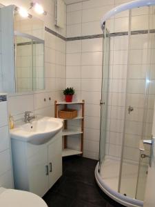 a bathroom with a sink and a shower at Fehmarn Burgtiefe Südstrand Meerblick Apartment MEERZEIT in Fehmarn
