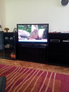 TV a/nebo společenská místnost v ubytování Apartment Marija