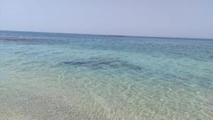 Hotel La Fattoria Sul Mare