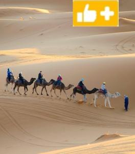 Fotografie z fotogalerie ubytování Chegaga desert Trips camp v destinaci Mhamid
