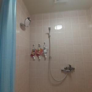 łazienka z prysznicem z zasłoną prysznicową w obiekcie 民泊まったりん人 w mieście Janadō