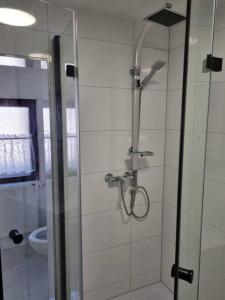 um chuveiro com uma porta de vidro na casa de banho em KM2 Apartment em Triberg
