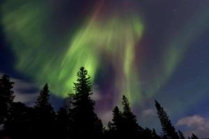 Fotografie z fotogalerie ubytování Graceland Norway v destinaci Foldereid