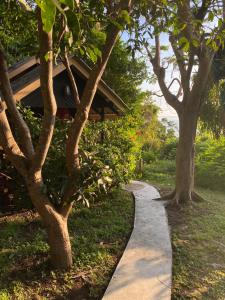 Ein Garten an der Unterkunft Sairee View Resort
