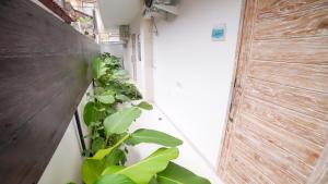 un couloir avec des plantes vertes et un mur dans l'établissement Ocean Star Apartment Sanur, à anur