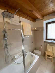 a bathroom with a shower and a tub and a toilet at CABALDO in Ranica