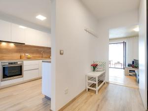 Kuchyň nebo kuchyňský kout v ubytování Apartments Nada