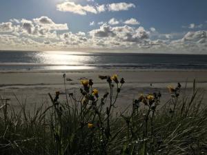 Afbeelding uit fotogalerij van Wyn 72 in Hollum