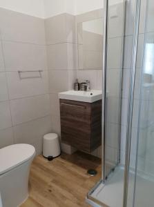 a bathroom with a toilet and a sink and a shower at Apartamento Vilamar in Vila Nova de Milfontes +26 photos