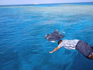 Majutusasutuse Ocean Way Guraidhoo külastajad