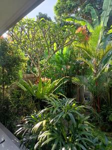 a garden with many different plants and trees at Diary home stay in Ubud