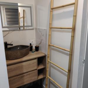 a bathroom with a wooden ladder next to a sink at Bulle d'évasion in Trèbes