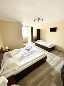 a large bedroom with two beds and a television at Pensiune Venetia Mariaj in Mioveni