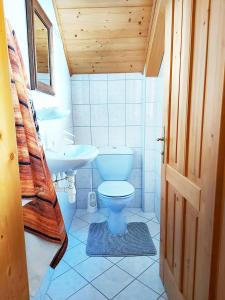 ein Bad mit einem WC und einem Waschbecken in der Unterkunft Haus Annerl in Grundlsee
