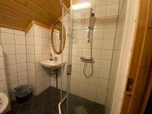 un bagno con doccia e lavandino di Hakkesetstølen Fjellstugu a Geilo Altre 30 foto