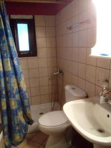 a bathroom with a toilet and a sink at Apartments in Mylopotamos in Milopotamos