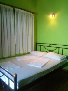 1 dormitorio con 2 camas y pared verde en Apartments in Mylopotamos en Milopotamos