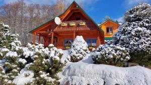 a log cabin in the snow with trees at Holiday home Marianska - Erzgebirge 1683 in Mariánská +42 photos