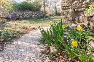 Vonkajšia záhrada v ubytovaní Rustic Art House Kras Krk