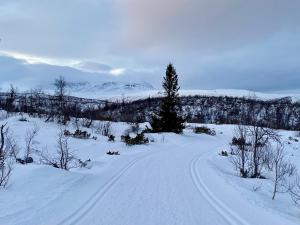 Gallery image of Hakkesetstølen Fjellstugu in Geilo +30 photos
