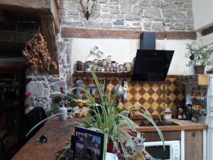 una cocina con una mesa con una planta en Maison du Rostaing en Passenans