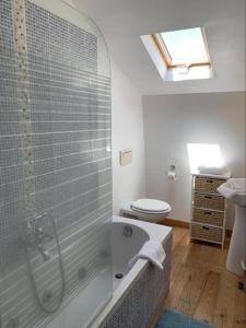 a bathroom with a shower and a toilet and a tub at Beautiful HOUSE in Trouville / Swimming Pool 12 persons in Trouville-sur-Mer