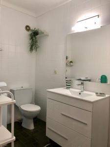 a bathroom with a toilet and a sink and a mirror at Bahia 1-5-74 Apt face mer, marina d empuriabrava in Empuriabrava