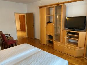 TV a/nebo společenská místnost v ubytování Hopfeld - Apartment