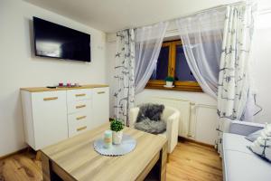 Televízia a/alebo spoločenská miestnosť v ubytovaní APARTAMENT TAJEMNICZY OGRÓD ŚCISŁE CENTRUM ZAKOPANE