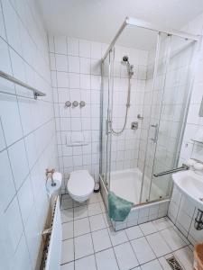 ein Bad mit einer Dusche, einem WC und einem Waschbecken in der Unterkunft Hotel Schwarzach am Main in Schwarzach am Main