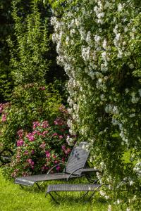 A garden outside Landhaus Hindenburg