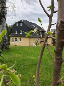 una casa en un campo con un árbol en Villa Hainberg en Rauschenbach