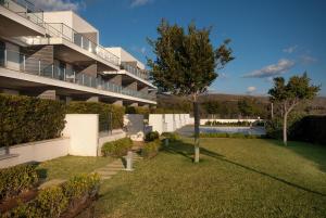 um edifício de apartamentos com um relvado e uma árvore em Boquer Apt em Pollença