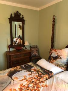 a bedroom with a bed and a dresser and a mirror at Villa Hainberg in Rauschenbach