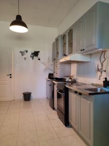 a kitchen with blue cabinets and a counter top at Apartman Dux in Karlovac