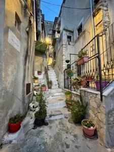 un callejón con macetas y escaleras en un callejón en Arcaroli Borgo Vico "La casetta" en Vico del Gargano