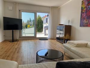 TV a/nebo společenská místnost v ubytování Weingut-Aparthotel Olinger