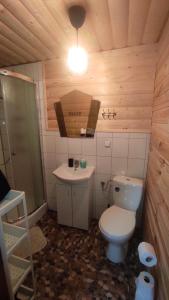 a small bathroom with a toilet and a sink at Zakątek Włóczykija in Cisna