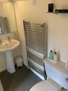 un bagno con wc, lavandino e doccia di Silverstrands a Inverness Altre 37 foto