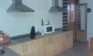 una cocina con microondas y un gato negro sentado en un mostrador en Hostal El Arrecife, en Sorbas