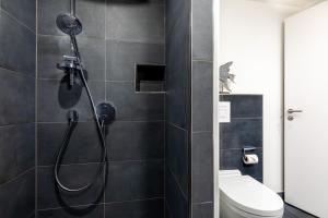 een badkamer met een douche en een toilet bij Meerblickvilla Großenbrode in Großenbrode